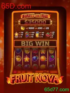Explorando o Mundo de FruitNova: Uma Viagem Através de Frutas e Aventura